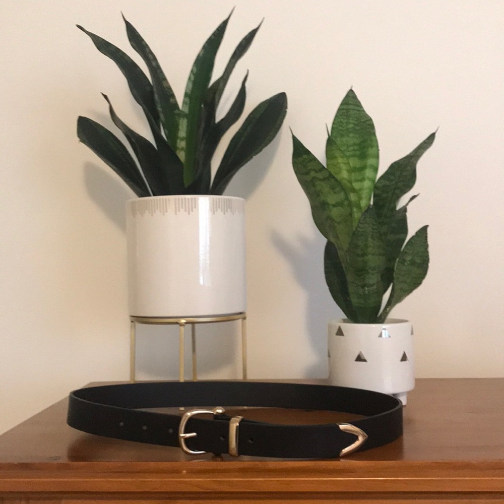 Gold buckle belt